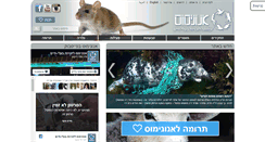 Desktop Screenshot of anonymous.org.il